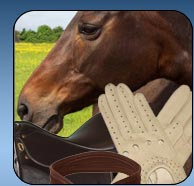 Click here to navigate to the Equestrian Web Section